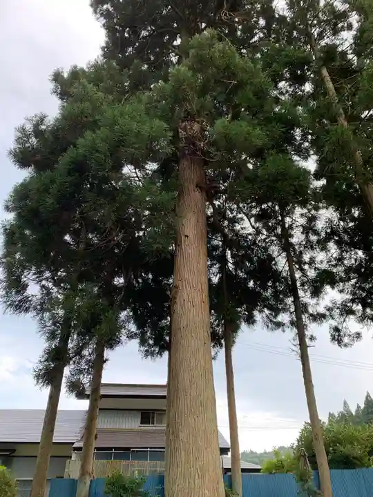 山祇神社の自然