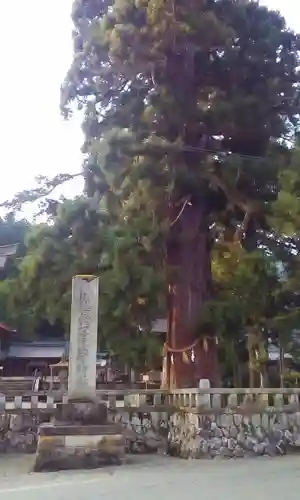 飛騨一宮水無神社の自然