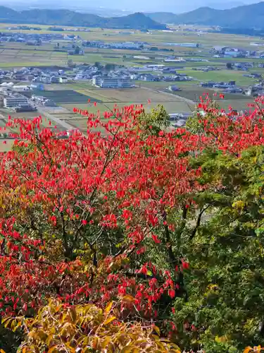 阿賀神社(滋賀県)