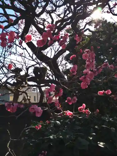 円乗院(東京都)