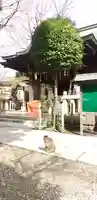 小野照崎神社の動物
