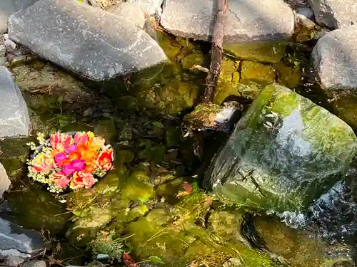 武蔵一宮氷川神社(埼玉県)