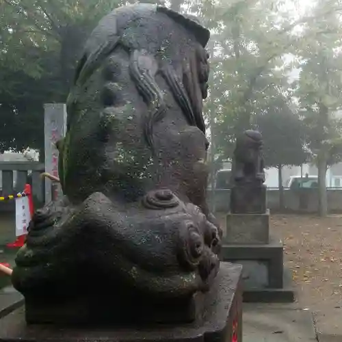 白髭神社の狛犬