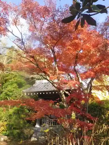 浄光明寺の自然