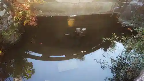 若宮神明社のその他建物