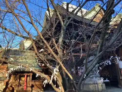 天孫神社(滋賀県)