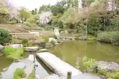 退蔵院の庭園