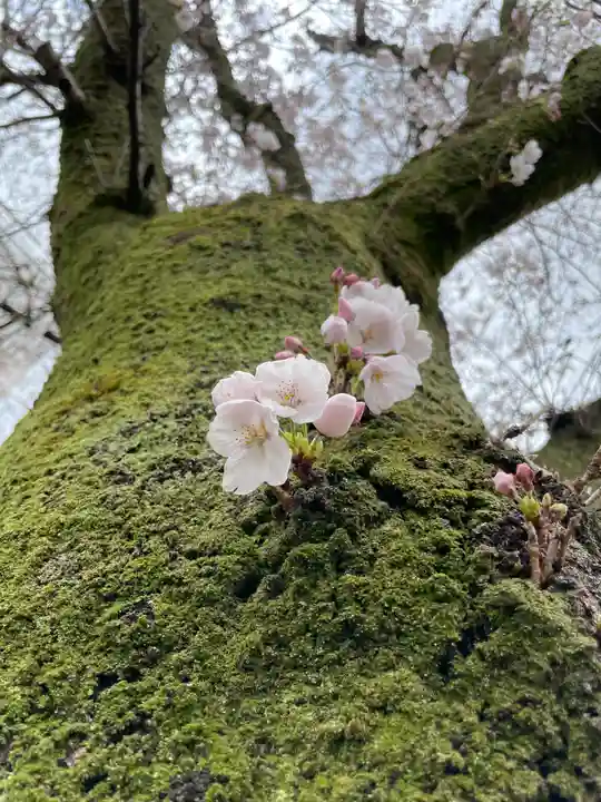 秩父札所十三番 慈眼寺(埼玉県)