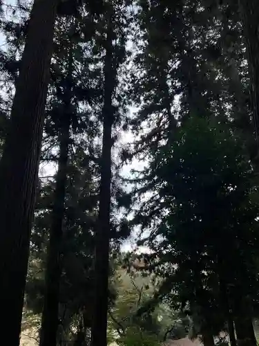 大宮温泉神社(栃木県)