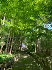 普門寺(切り絵御朱印発祥の寺)(愛知県)