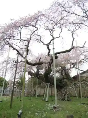 般若院(茨城県)
