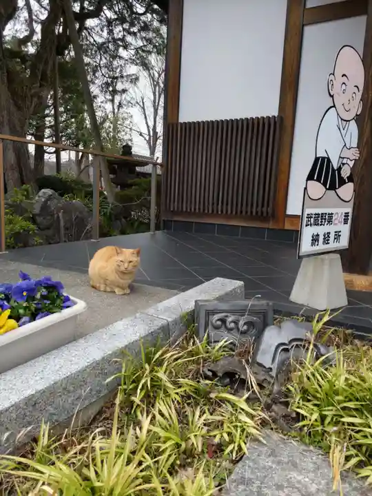 観音寺(埼玉県)