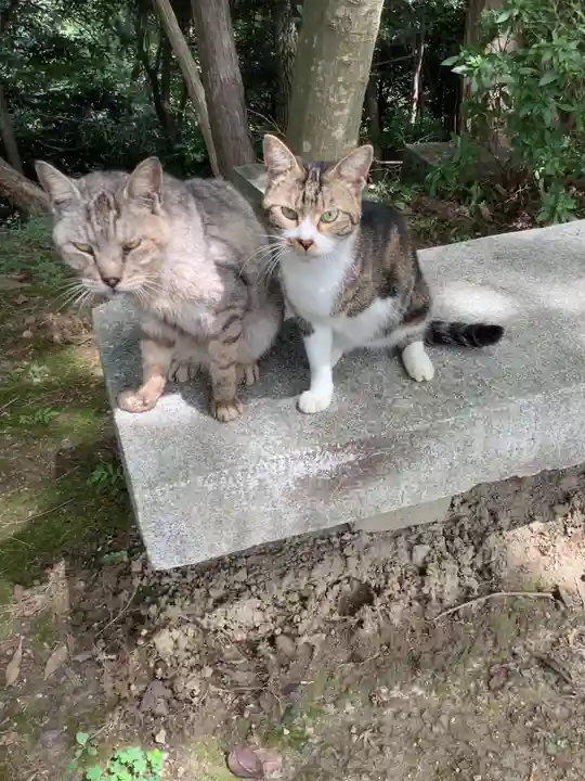 玉野御嶽神社の動物