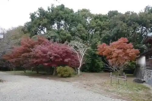 多坐弥志理都比古神社の自然