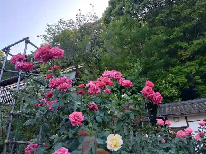 松尾寺の{uncategorized: "未分類", other: "その他", undefined: "問題あり", building: "その他建物", grave: "お墓", sacred_gate: "鳥居", guardian: "狛犬", statue: "像", buddha: "仏像", history: "歴史", nature: "自然", garden: "庭園", animal: "動物", pagoda: "塔", temizu: "手水舎", mountain_gate: "山門・神門", sanctuary: "本殿・本堂", subordinate: "末社・摂社", art: "芸術", scenery: "景色", jizo: "地蔵", ema: "絵馬", goshuin: "御朱印", omikuji: "おみくじ", items: "授与品その他", amulet: "お守り", goshuincho: "御朱印帳", eats: "食事", festival: "お祭り", votive_dance: "神楽", shichigosan: "七五三参", wedding: "結婚式", experience: "体験その他", initially: "初詣", around: "周辺", anti_infection: "感染症対策"}