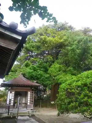 安養院　(田代寺）のその他建物