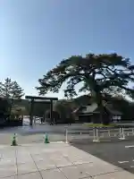 伊勢神宮内宮(皇大神宮)の{uncategorized: "未分類", other: "その他", undefined: "問題あり", building: "その他建物", grave: "お墓", sacred_gate: "鳥居", guardian: "狛犬", statue: "像", buddha: "仏像", history: "歴史", nature: "自然", garden: "庭園", animal: "動物", pagoda: "塔", temizu: "手水舎", mountain_gate: "山門・神門", sanctuary: "本殿・本堂", subordinate: "末社・摂社", art: "芸術", scenery: "景色", jizo: "地蔵", ema: "絵馬", goshuin: "御朱印", omikuji: "おみくじ", items: "授与品その他", amulet: "お守り", goshuincho: "御朱印帳", eats: "食事", festival: "お祭り", votive_dance: "神楽", shichigosan: "七五三参", wedding: "結婚式", experience: "体験その他", initially: "初詣", around: "周辺", anti_infection: "感染症対策"}