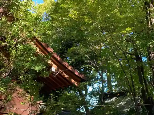 仲町氷川神社(東京都)