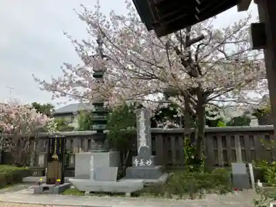 妙長寺(神奈川県)