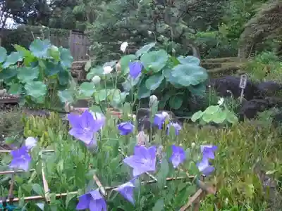 長谷寺のその他建物