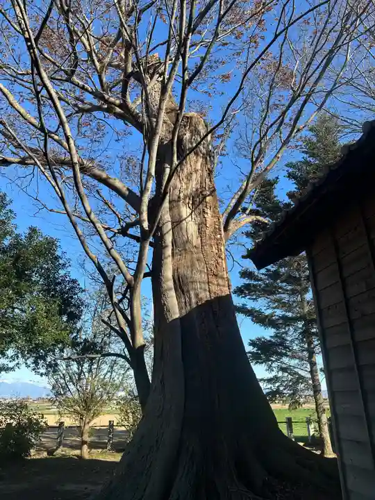 徳川東照宮(群馬県)