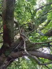 八大龍王水神(宮崎県)