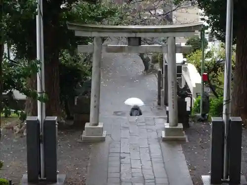 弥生神社の鳥居