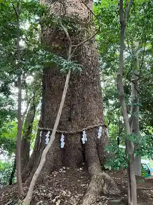 氷川女體神社(埼玉県)