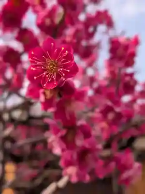 鳳林寺(東京都)
