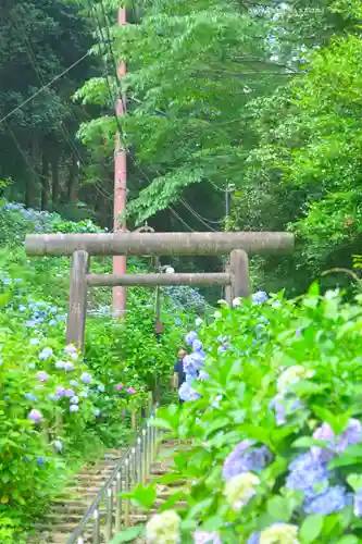 太平山神社(栃木県)
