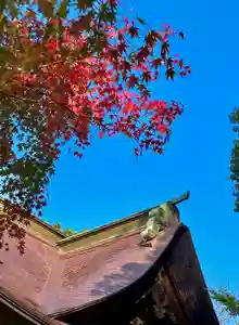 蚊里田八幡宮(長野県)(2024年11月12日(火) 17時41分34秒投稿)