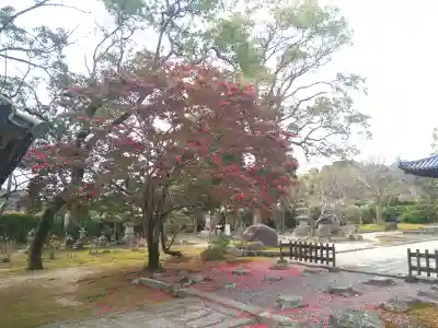 戒壇院の{uncategorized: "未分類", other: "その他", undefined: "問題あり", building: "その他建物", grave: "お墓", sacred_gate: "鳥居", guardian: "狛犬", statue: "像", buddha: "仏像", history: "歴史", nature: "自然", garden: "庭園", animal: "動物", pagoda: "塔", temizu: "手水舎", mountain_gate: "山門・神門", sanctuary: "本殿・本堂", subordinate: "末社・摂社", art: "芸術", scenery: "景色", jizo: "地蔵", ema: "絵馬", goshuin: "御朱印", omikuji: "おみくじ", items: "授与品その他", amulet: "お守り", goshuincho: "御朱印帳", eats: "食事", festival: "お祭り", votive_dance: "神楽", shichigosan: "七五三参", wedding: "結婚式", experience: "体験その他", initially: "初詣", around: "周辺", anti_infection: "感染症対策"}