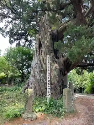 城願寺(神奈川県)