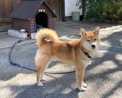 感通寺(東京都)