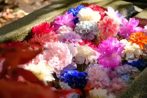 村雲御所瑞龍寺門跡の手水舎