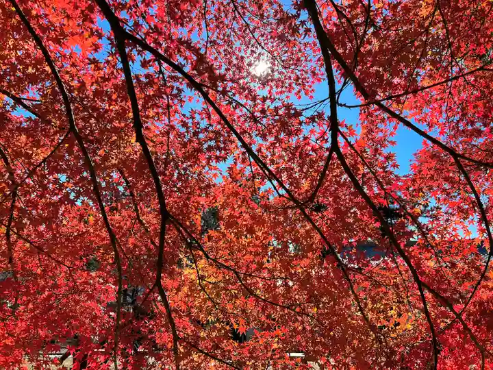 眞田神社(長野県)
