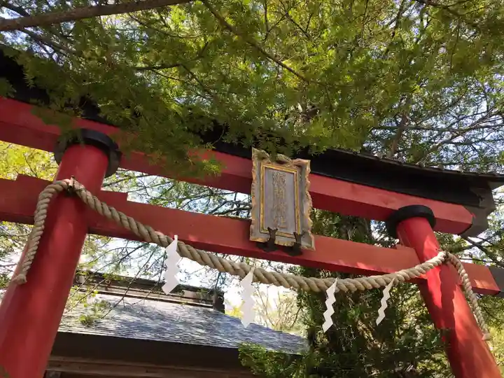 淺間神社(忍野八海)の鳥居