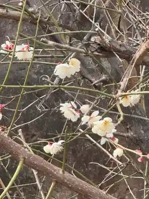 大蓮寺の{uncategorized: "未分類", other: "その他", undefined: "問題あり", building: "その他建物", grave: "お墓", sacred_gate: "鳥居", guardian: "狛犬", statue: "像", buddha: "仏像", history: "歴史", nature: "自然", garden: "庭園", animal: "動物", pagoda: "塔", temizu: "手水舎", mountain_gate: "山門・神門", sanctuary: "本殿・本堂", subordinate: "末社・摂社", art: "芸術", scenery: "景色", jizo: "地蔵", ema: "絵馬", goshuin: "御朱印", omikuji: "おみくじ", items: "授与品その他", amulet: "お守り", goshuincho: "御朱印帳", eats: "食事", festival: "お祭り", votive_dance: "神楽", shichigosan: "七五三参", wedding: "結婚式", experience: "体験その他", initially: "初詣", around: "周辺", anti_infection: "感染症対策"}