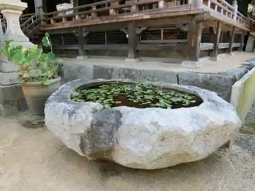水間寺の自然