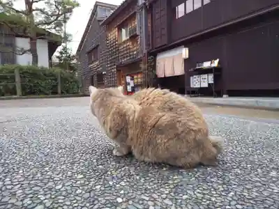 宇多須神社(石川県)