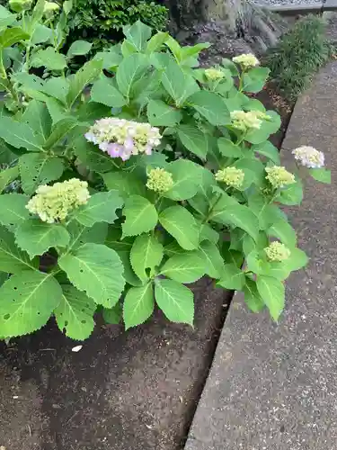 観音寺(神奈川県)