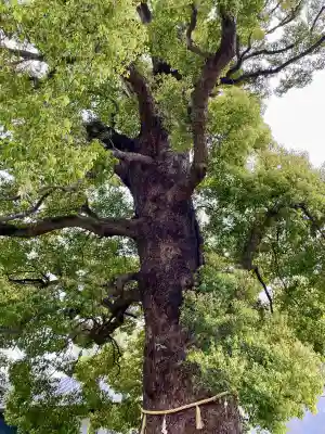 栄誉権現社(東京都)