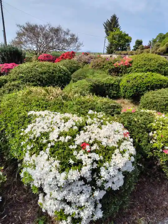 永徳寺(群馬県)