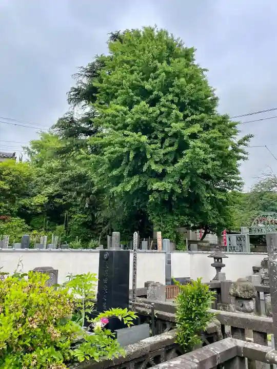 眞浄院(神奈川県)