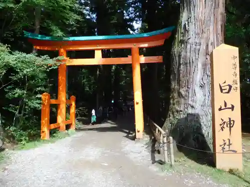 白山神社の鳥居