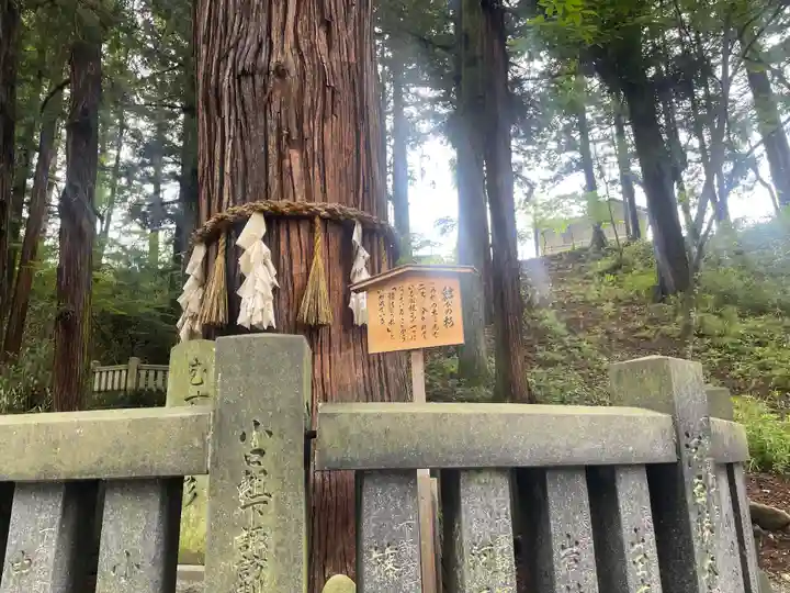 諏訪大社下社春宮(長野県)