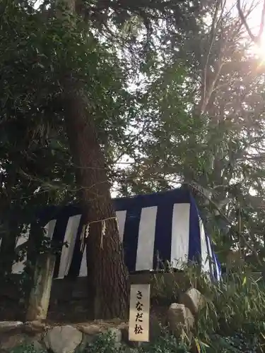 安居神社の自然