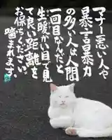 専念寺(大阪府)