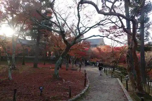 東福禅寺（東福寺）(京都府)
