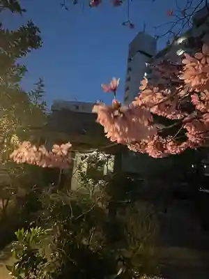 南宮神社の自然